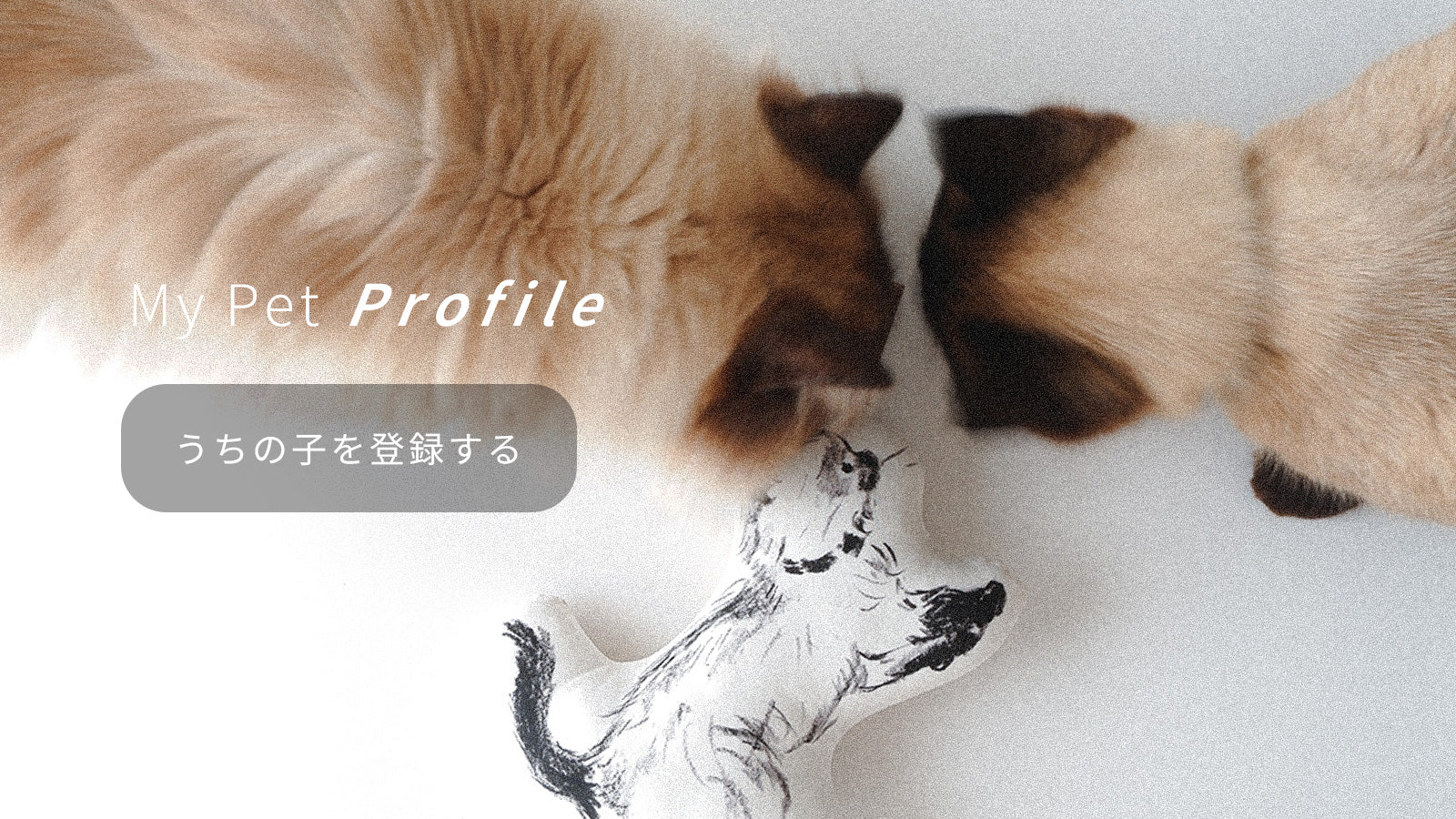うちの子登録 My Pet Profile